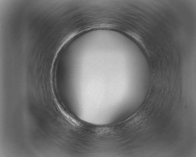 X0000051241135200507082117