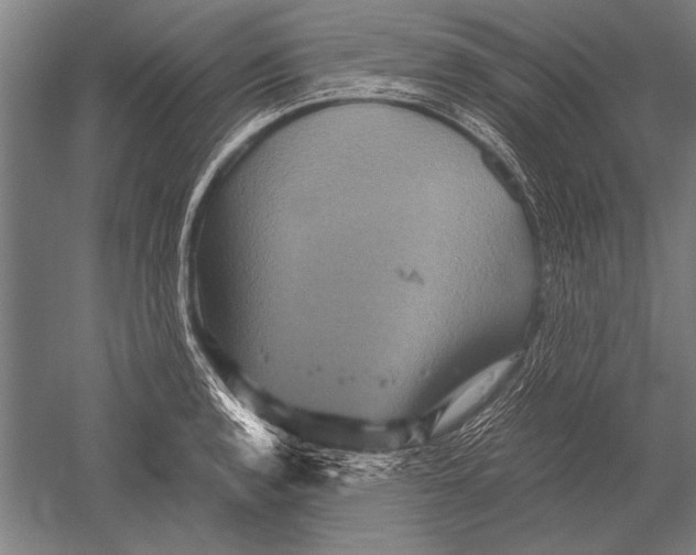 X0000051241136200507082117