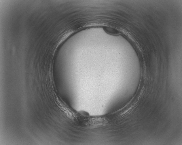 X0000051241137200507082117