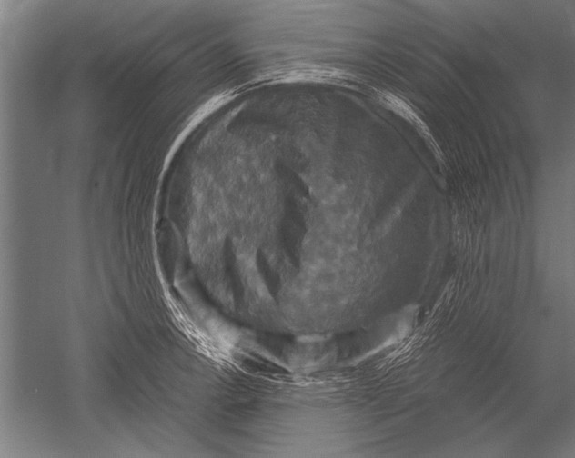 X0000051241138200507082117