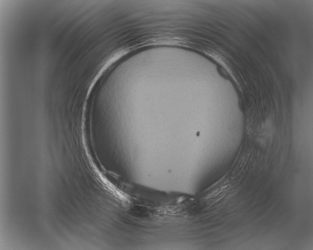 X0000051241139200507082117