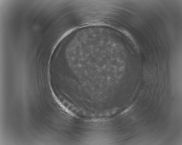 X0000051241142200507082117