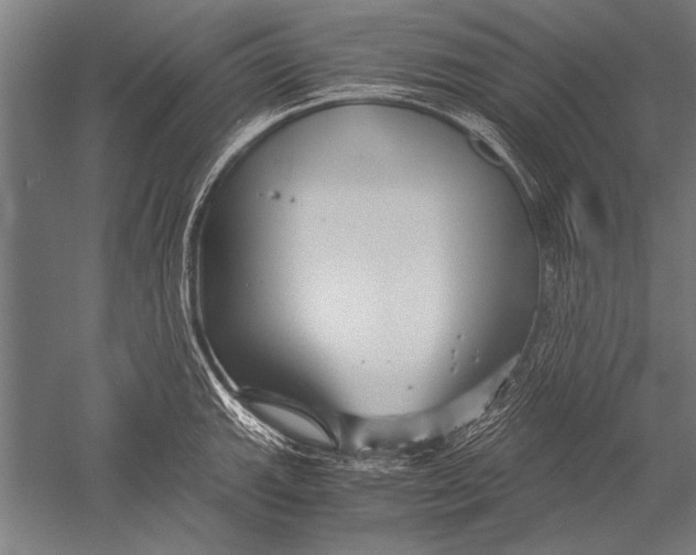 X0000051241143200507082117