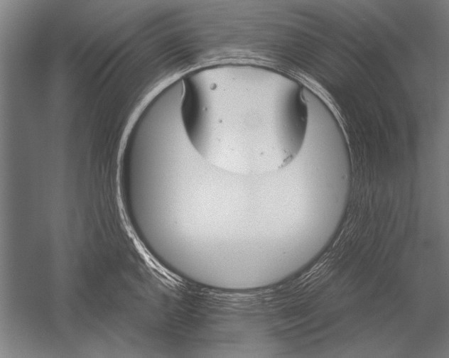 X0000051241144200507082117