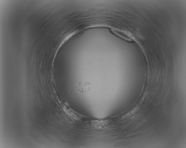 X0000051241145200507082117