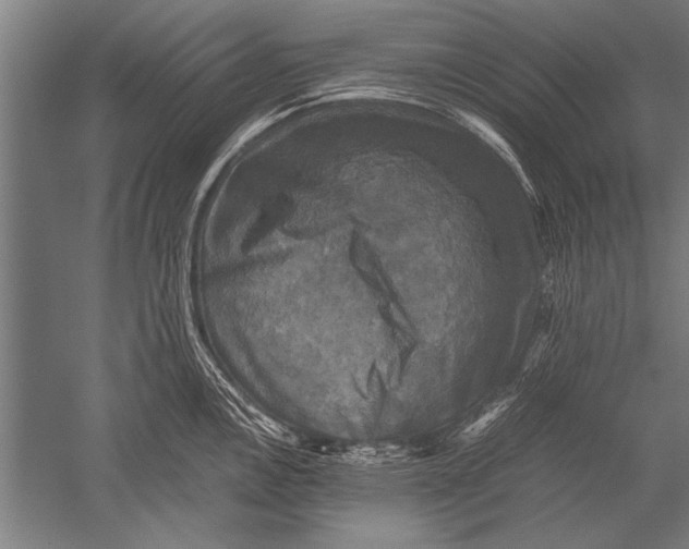 X0000051241146200507082117