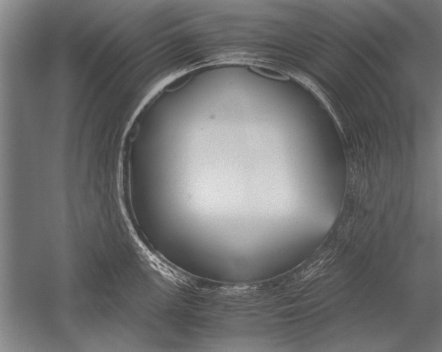 X0000051241147200507082117