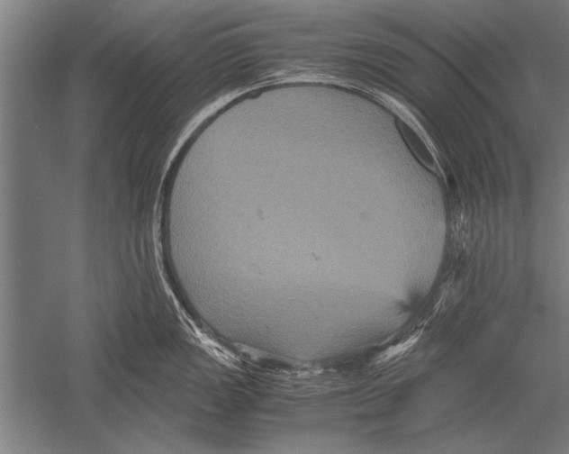 X0000051241149200507082117