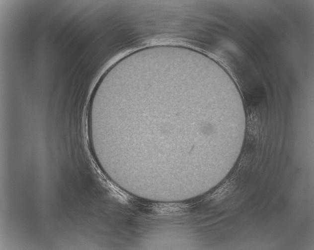 X0000051241150200507082117