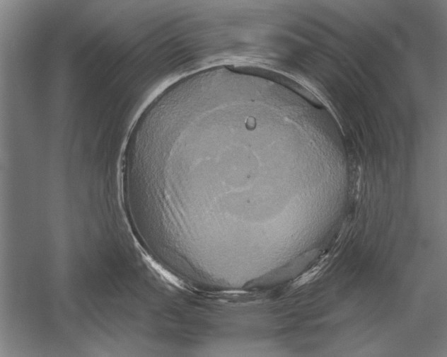 X0000051241151200507082117