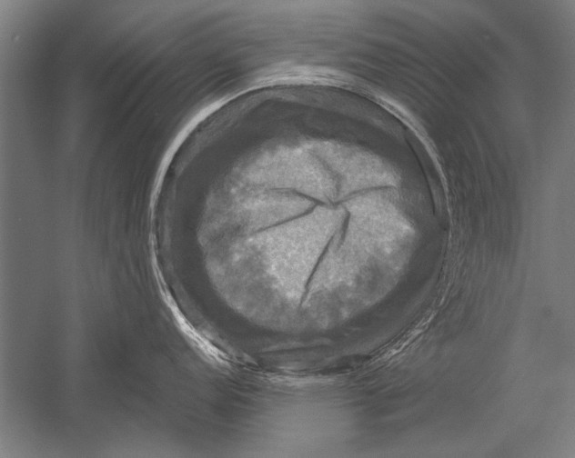 X0000051241152200507082117