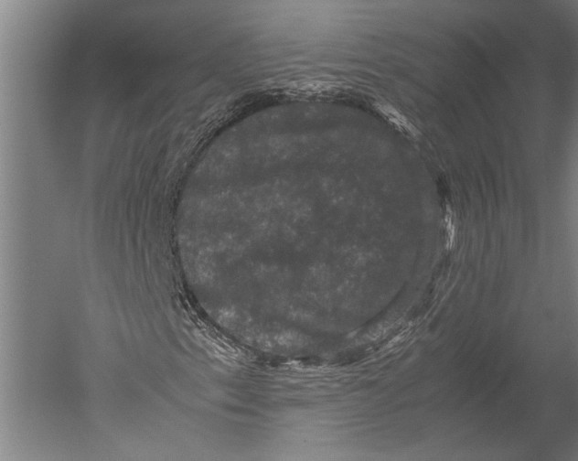 X0000051241153200507082117