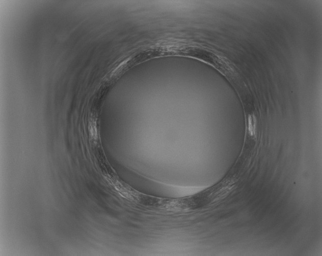 X0000051241155200507082117