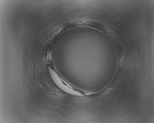 X0000051241156200507082117