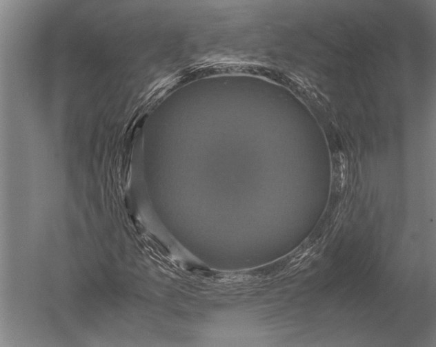 X0000051241157200507082116