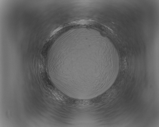 X0000051241158200507082116