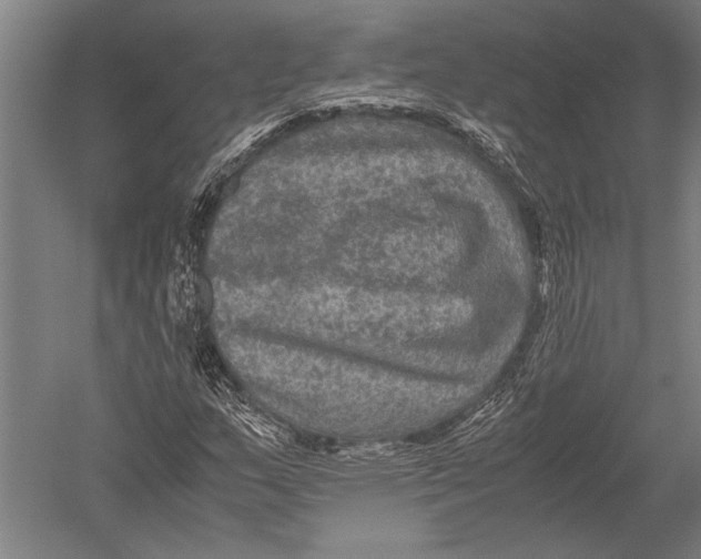 X0000051241159200507082116