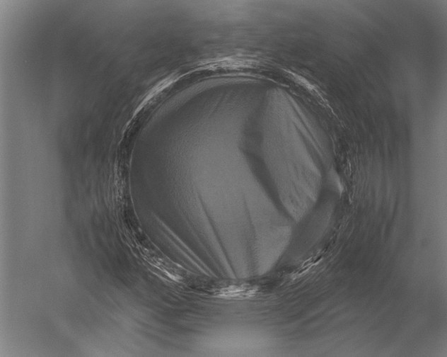 X0000051241160200507082116