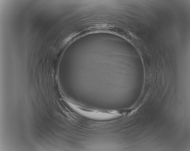 X0000051241161200507082116