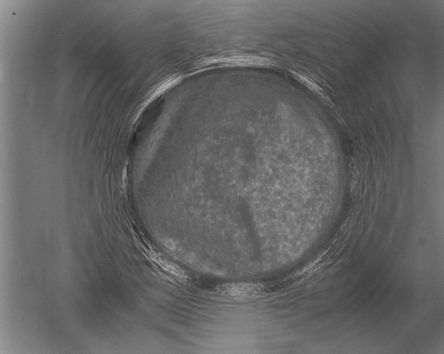 X0000051241163200507082116