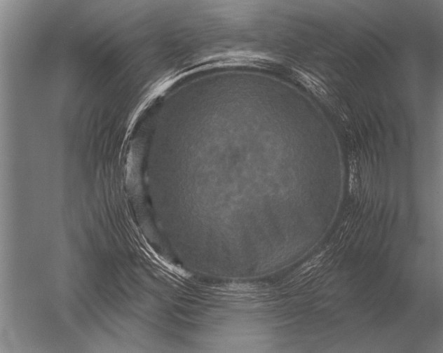 X0000051241164200507082116