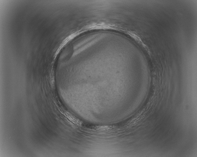 X0000051241167200507082116