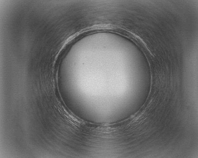 X0000051241168200507082116