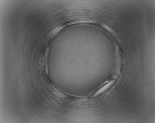 X0000051241169200507082116