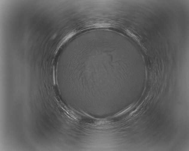 X0000051241171200507082116