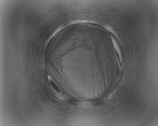 X0000051241173200507082116