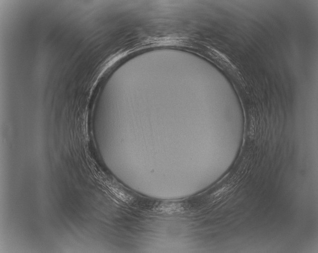 X0000051241174200507082116