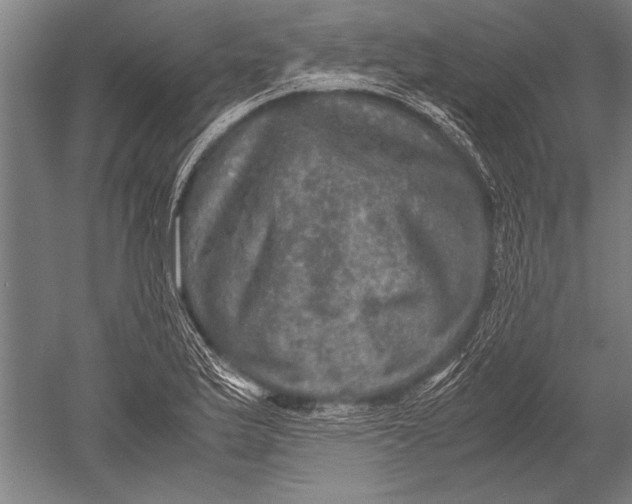 X0000051241175200507082116