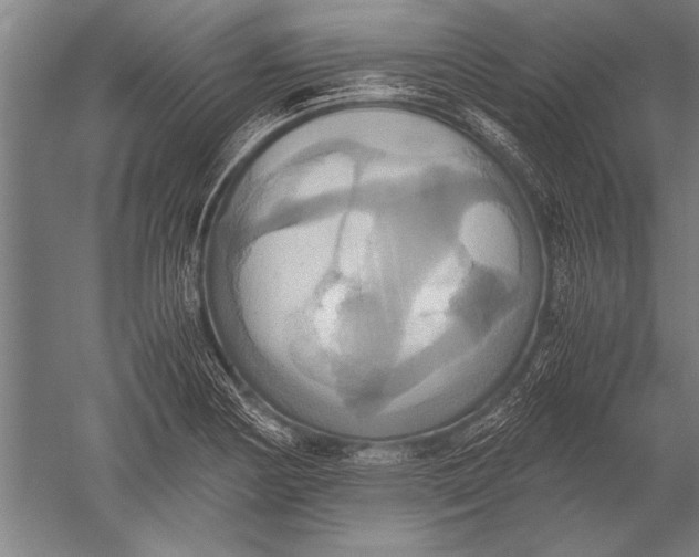 X0000051241178200507082116