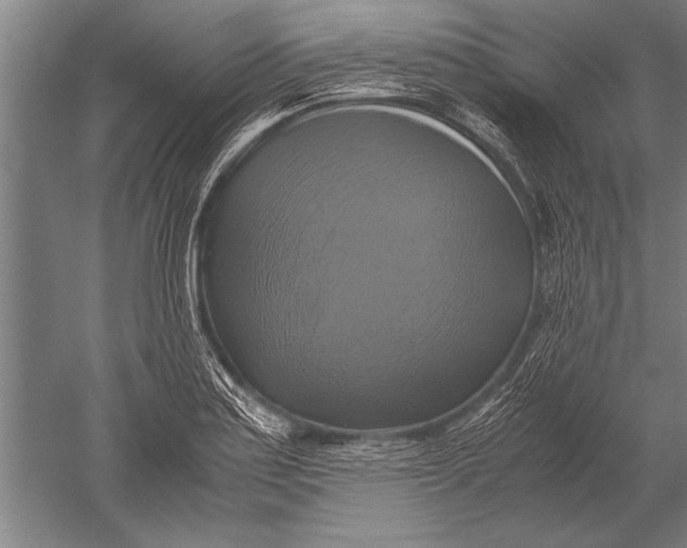 X0000051241179200507082116