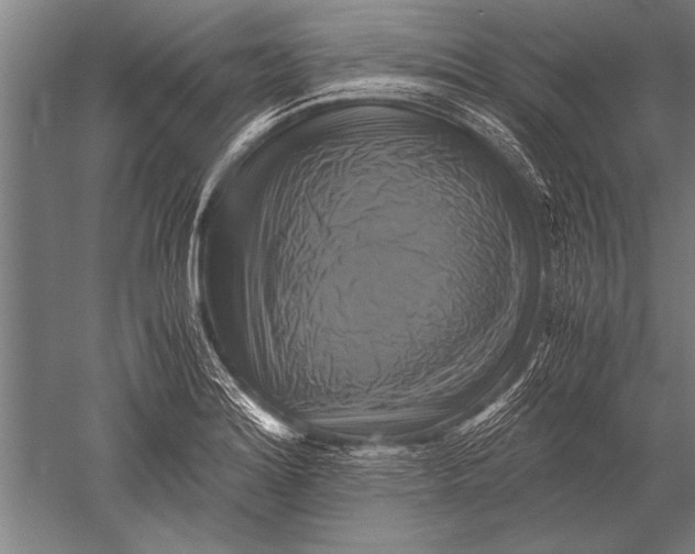 X0000051241180200507082116