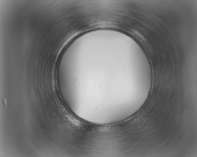 X0000051241182200507082116