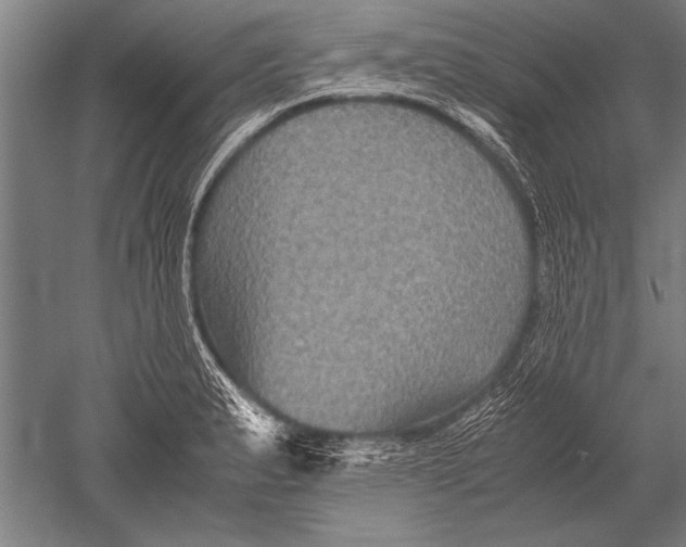 X0000051241183200507082116