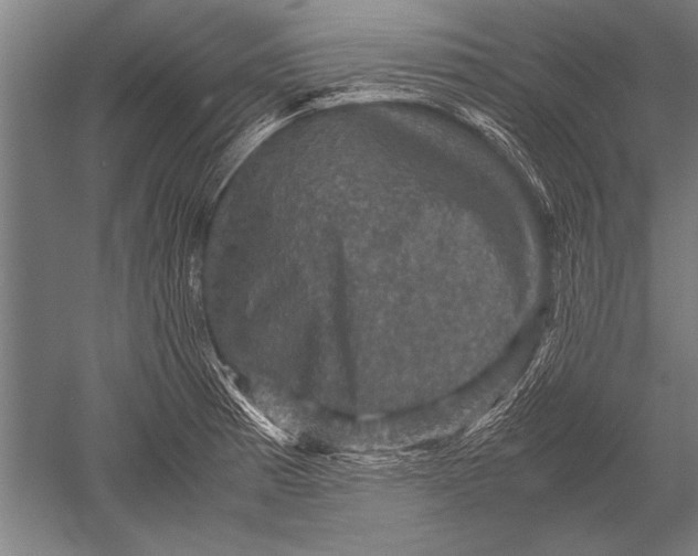 X0000051241185200507082116