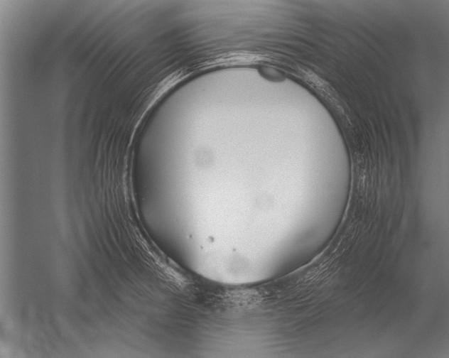 X0000051241186200507082116