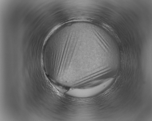 X0000051241188200507082116