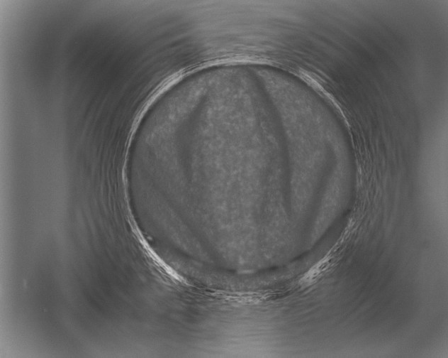 X0000051241189200507082116