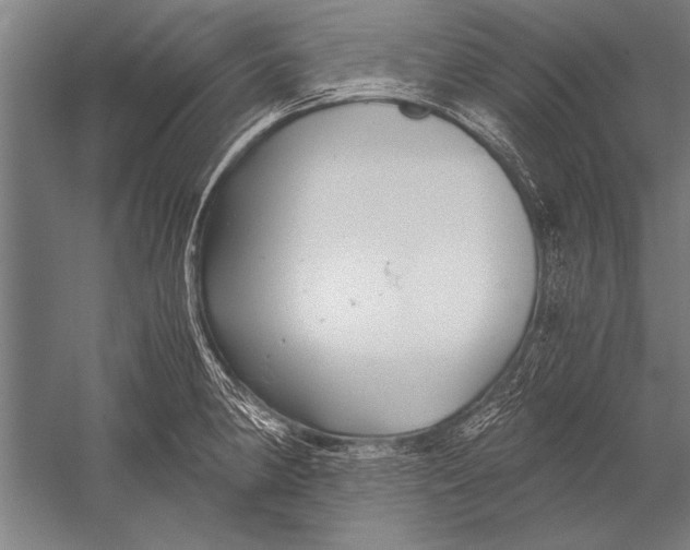 X0000051241190200507082116