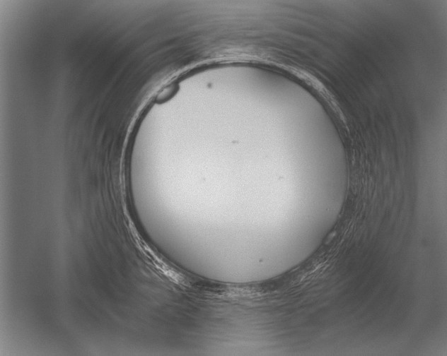 X0000051241191200507082116