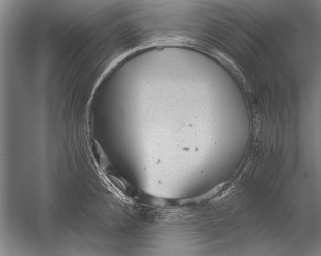 X0000051241192200507082116