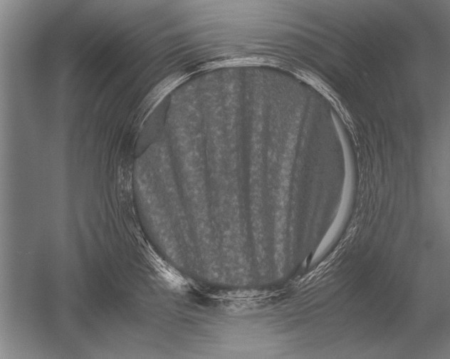 X0000051241193200507082116