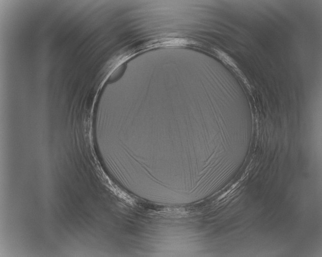 X0000051241194200507082116