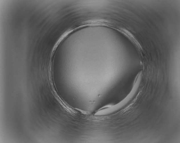 X0000051241196200507082116