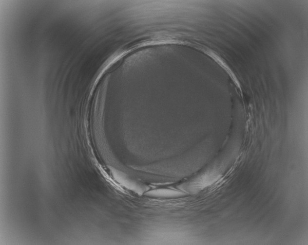 X0000051241197200507082116