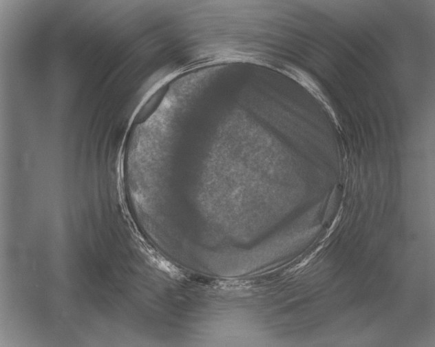 X0000051241198200507082116