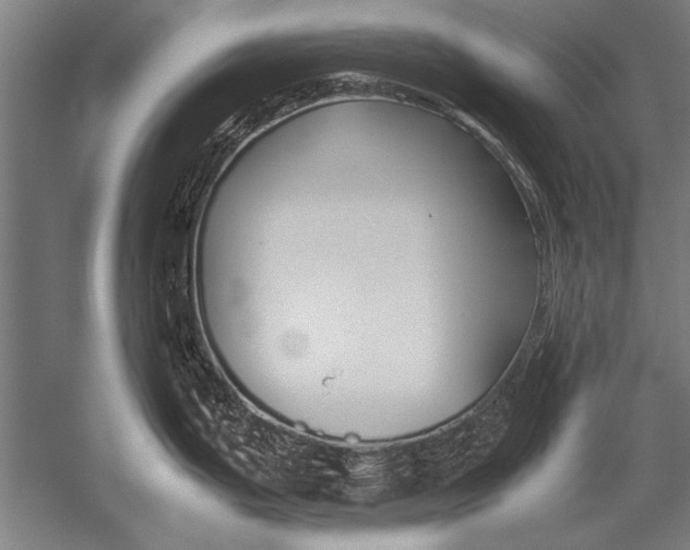 X0000051241199200507082116